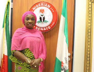 We didn’t endorse Senator Uche Ekwunife Senatorial ambition – INC clarifies.
